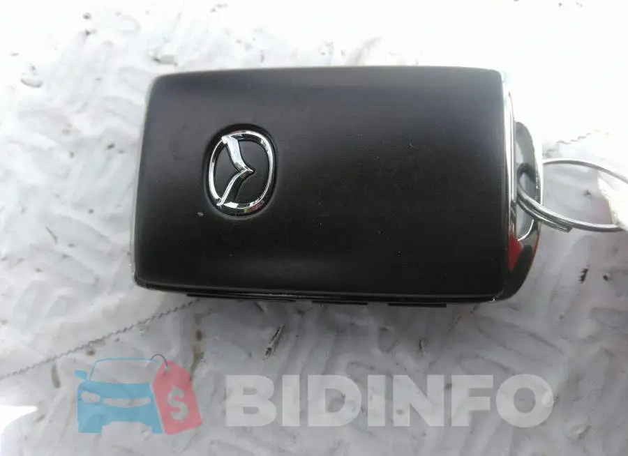 3MVDMBDL2MM206881 Photo# 11