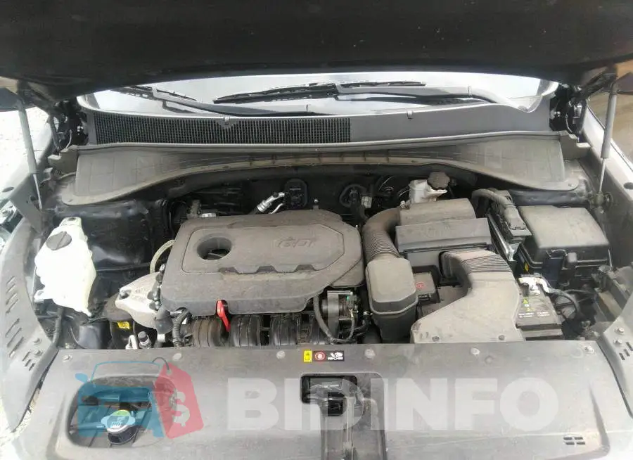 5XYPG4A30KG578221 Photo# 10