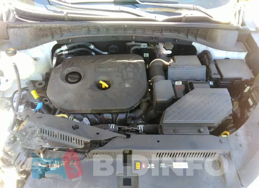 KM8J2CA4XKU917164 Photo# 10
