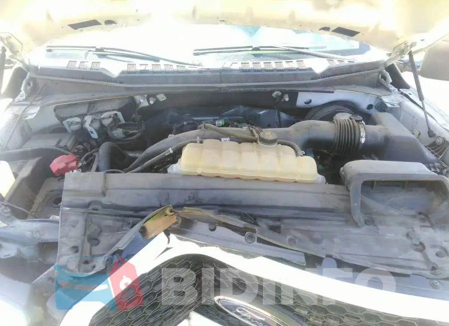 1FTEW1CP5LFB67300 Photo# 10