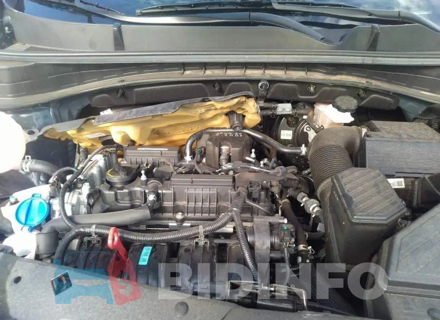 KNDPM3AC2M7934087 Photo# 10