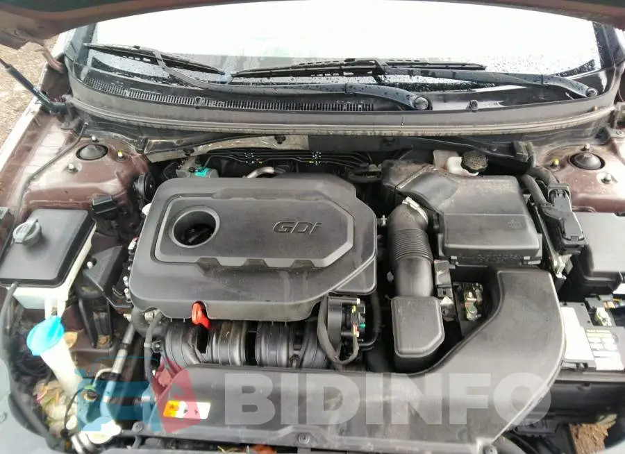 5NPE24AF4FH255790 Photo# 10