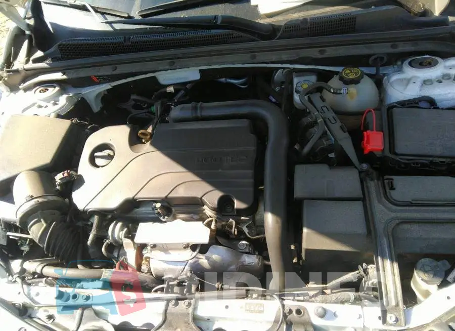 1G1ZD5ST9JF265006 Photo# 10