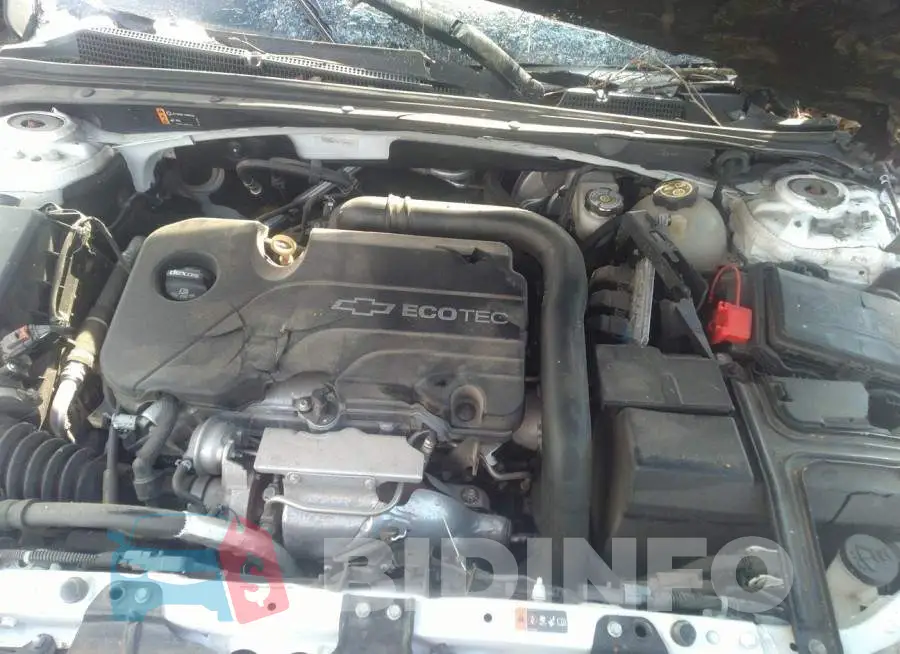 1G1ZB5ST1HF146754 Photo# 10