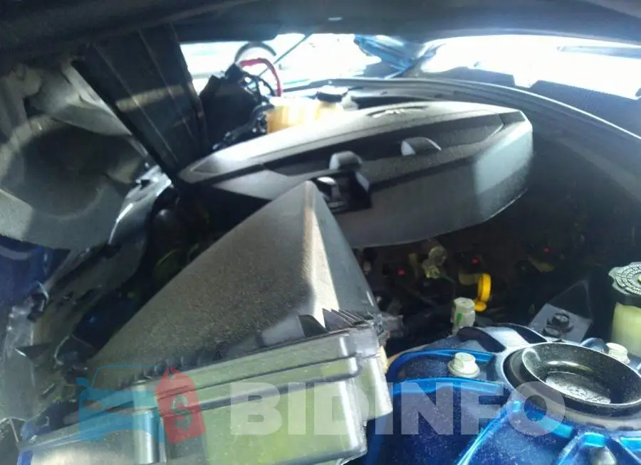1G1FB1RSXJ0175171 Photo# 10