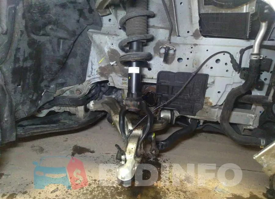 JN1EV7EL6HM554167 Photo# 6