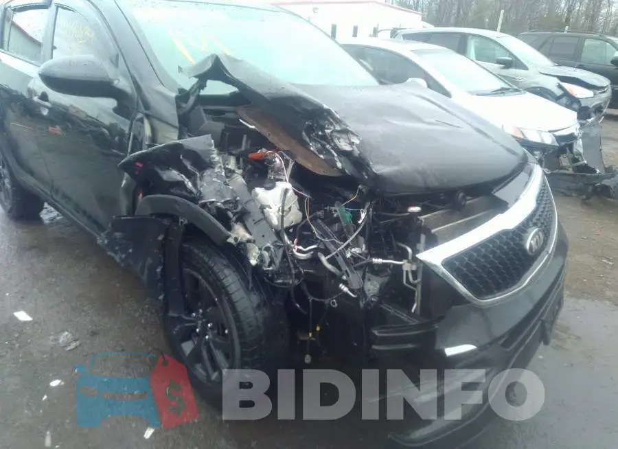 KNDPB3AC3G7854212 Photo# 6