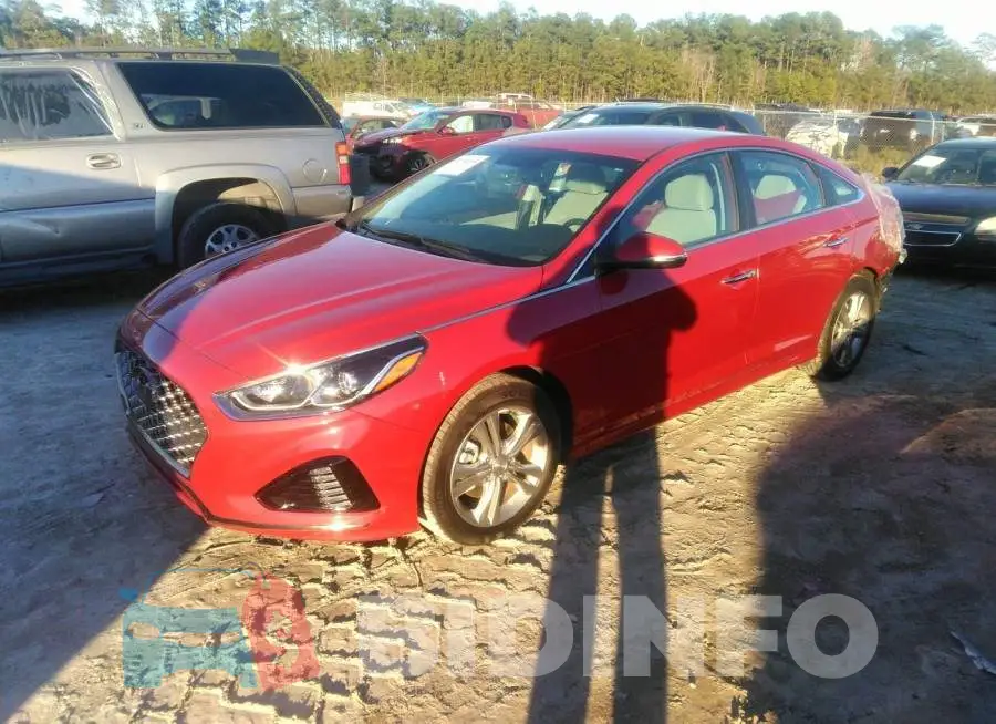 5NPE34AF2KH771413 Photo# 2