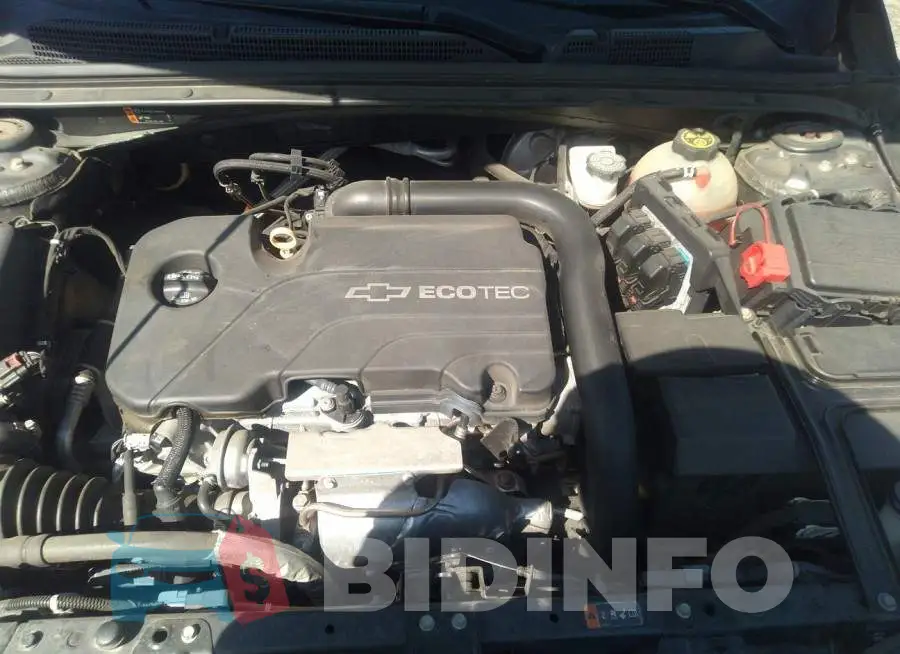 1G1ZE5ST5HF151656 Photo# 10