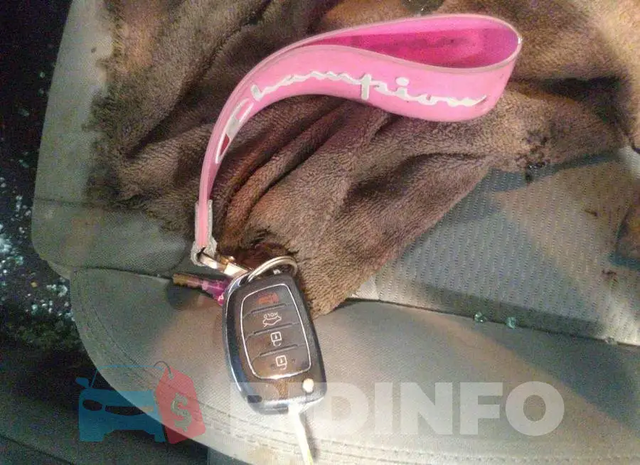 5NPE24AF9HH442915 Photo# 11