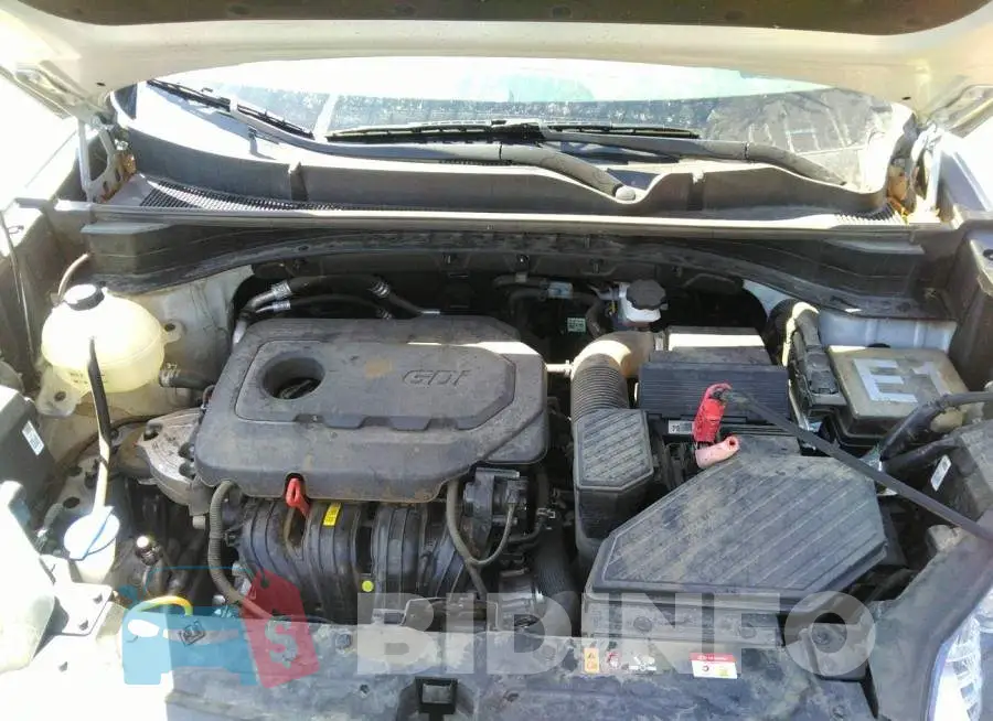 KNDPM3AC2L7817012 Photo# 10