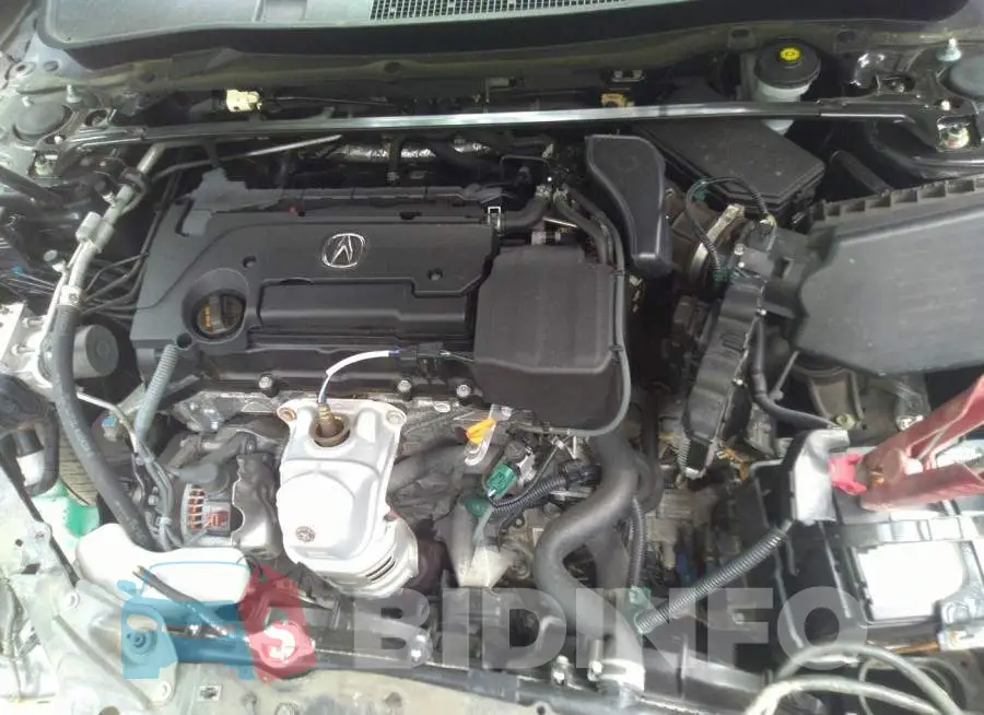 19UUB1F55GA014034 Photo# 10