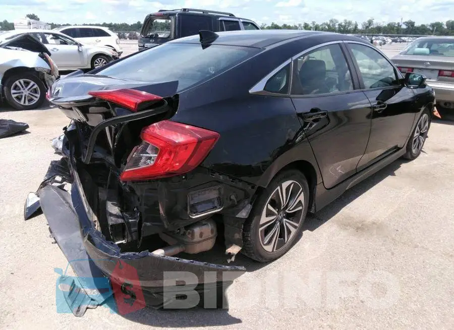 19XFC1F72GE014463 Photo# 4