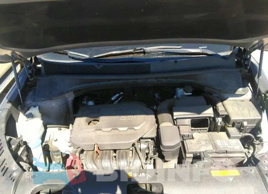 5XYPG4A39KG522262 Photo# 10