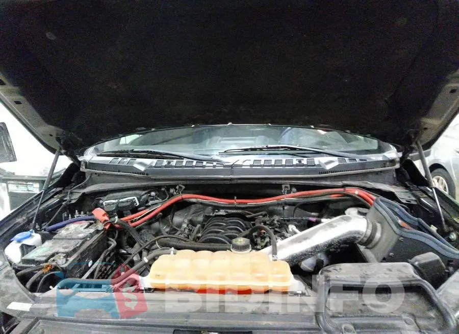 1FTEW1EF9HKD25317 Photo# 10