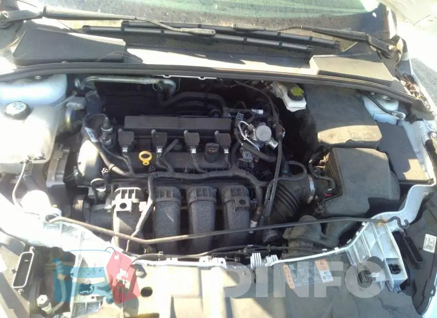 1FADP3E23JL205617 Photo# 10