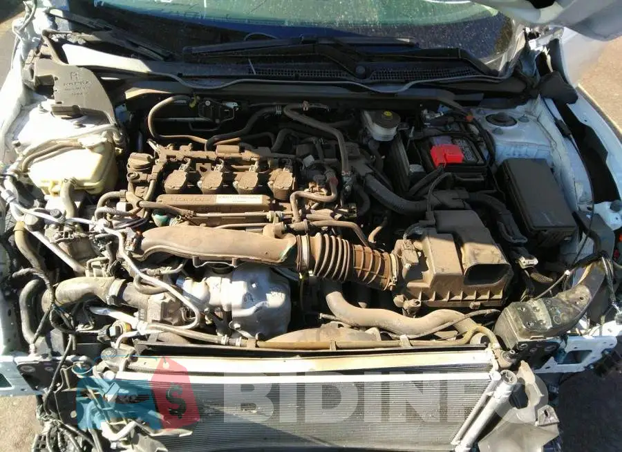 19XFC1F35LE014321 Photo# 10