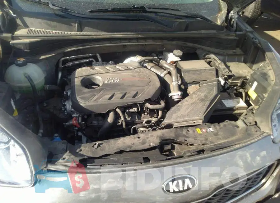 KNDPR3A67H7238343 Photo# 10