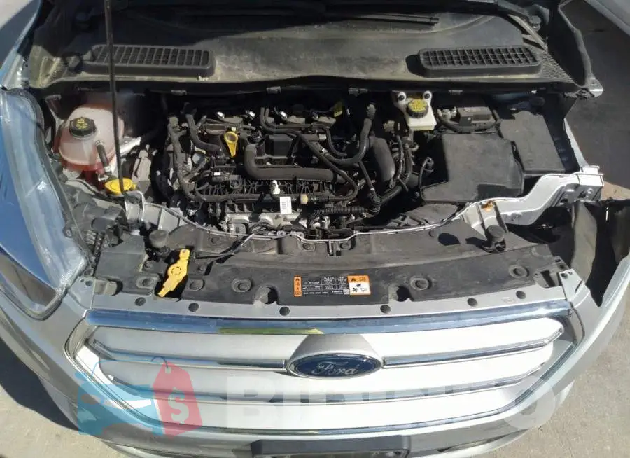1FMCU0GD6KUB26168 Photo# 10