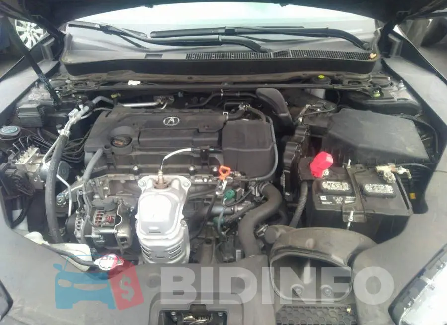 19UUB1F67KA007555 Photo# 10