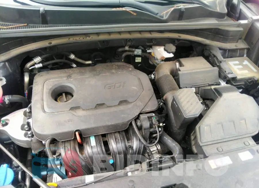 KNDPMCAC2M7928273 Photo# 10