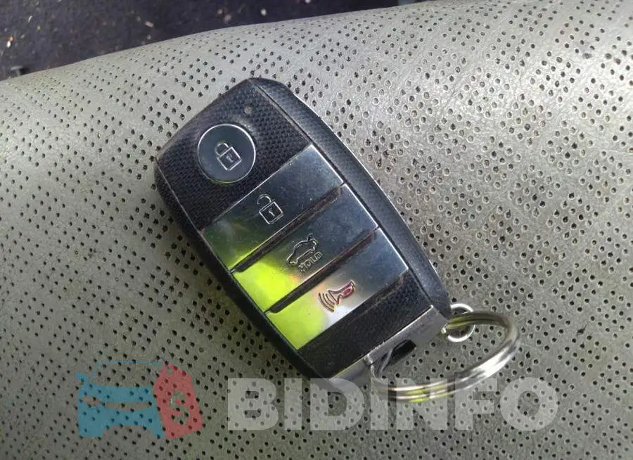 5XXGU4L38GG063209 Photo# 11