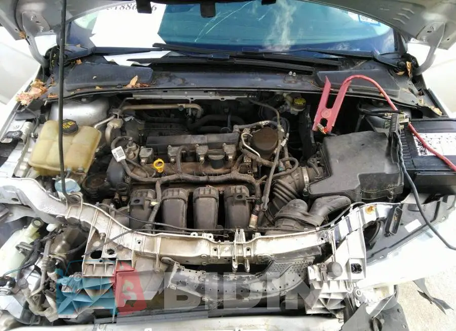 1FADP3F23GL290661 Photo# 10
