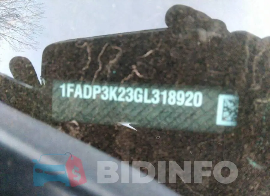 1FADP3K23GL318920 Photo# 9