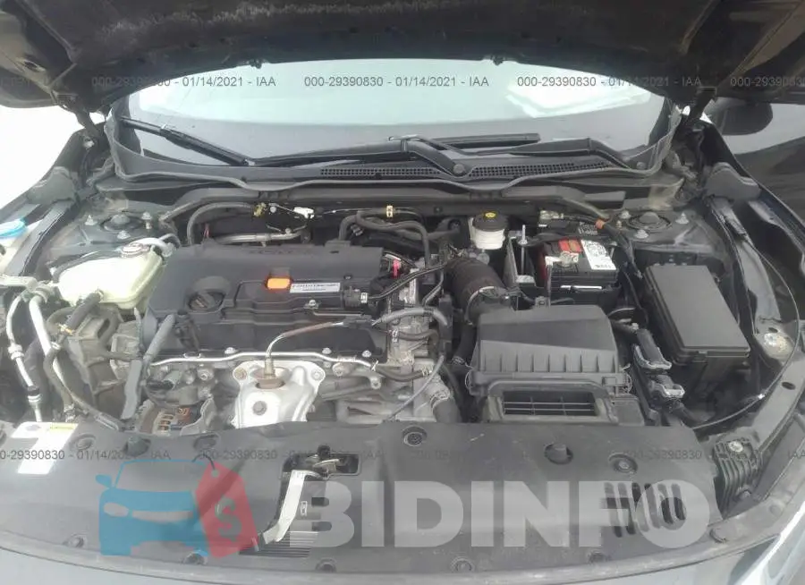19XFC2F71HE202589 Photo# 10