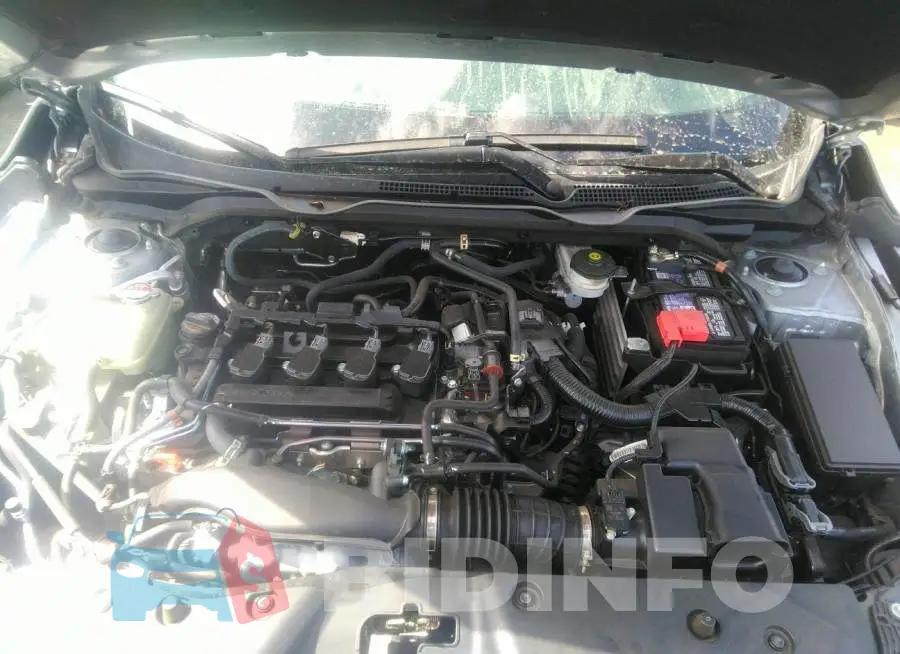 19XFC1F33ME206063 Photo# 10