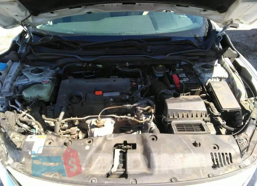 19XFC2F56HE212937 Photo# 10