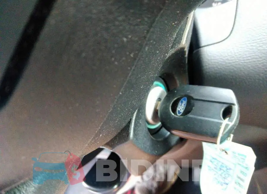 1FADP3F23GL392932 Photo# 11
