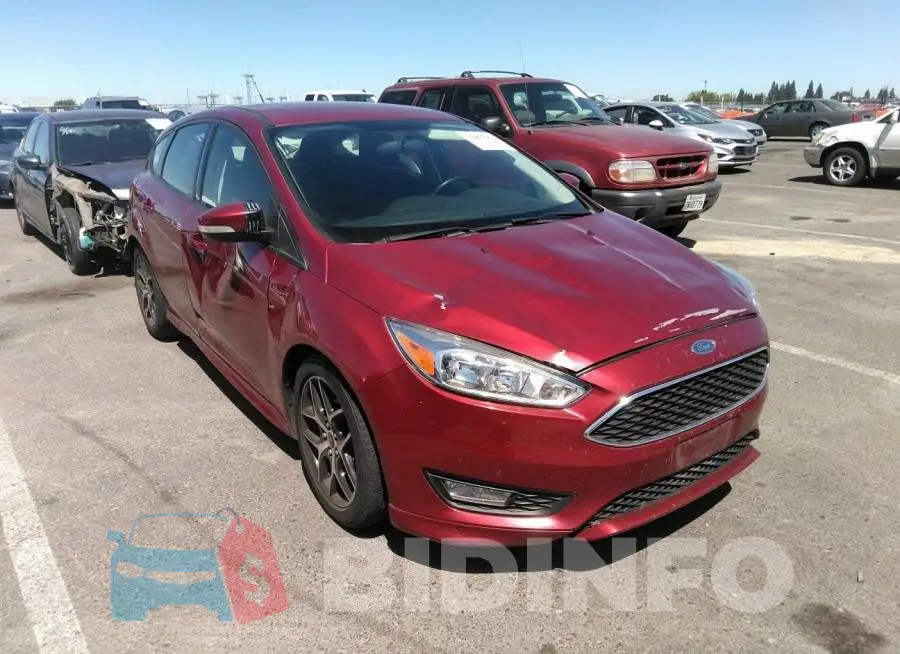 1FADP3K24GL388619 Photo# 6