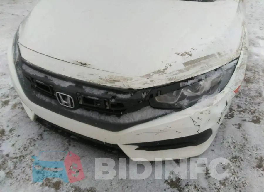19XFC2F52HE032581 Photo# 6