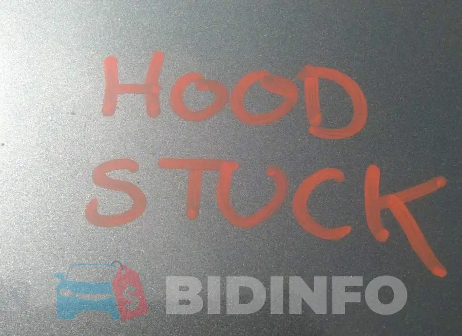 1N4BL4BV1LN301843 Photo# 10