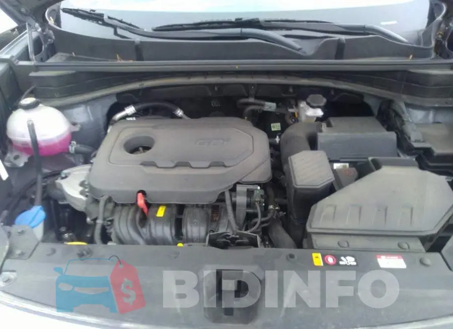 KNDPMCAC6M7890322 Photo# 10
