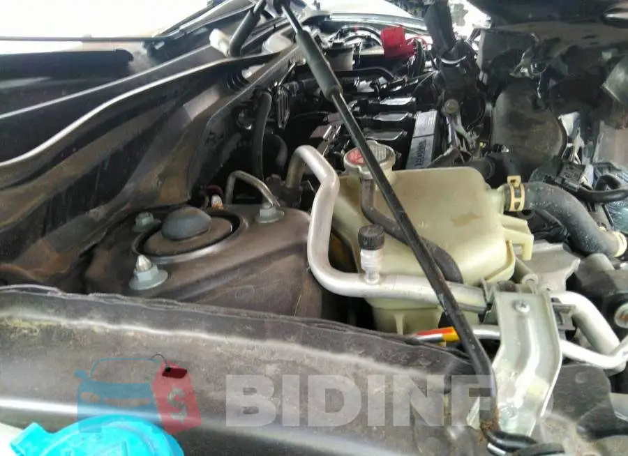 19XFC1F38KE001920 Photo# 10