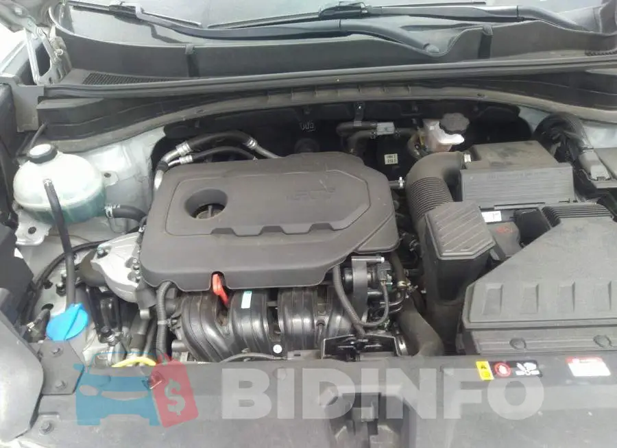KNDPMCAC5L7678428 Photo# 10