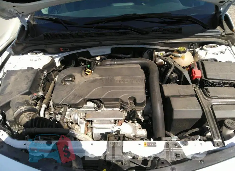 1G1ZD5ST8KF160796 Photo# 10