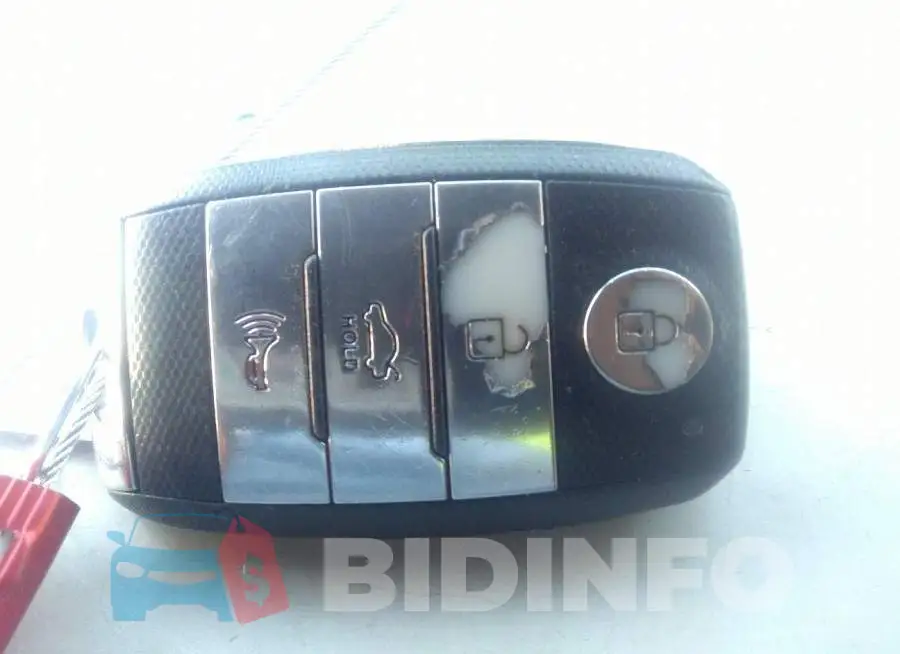 KNAGN4AD7F5083282 Photo# 11