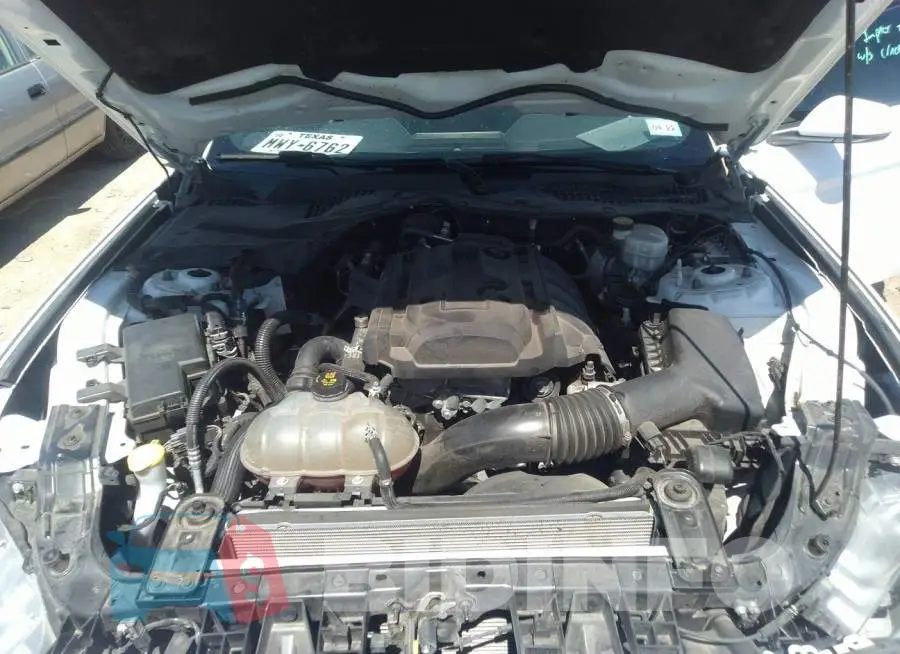 1FA6P8TH7K5112019 Photo# 10
