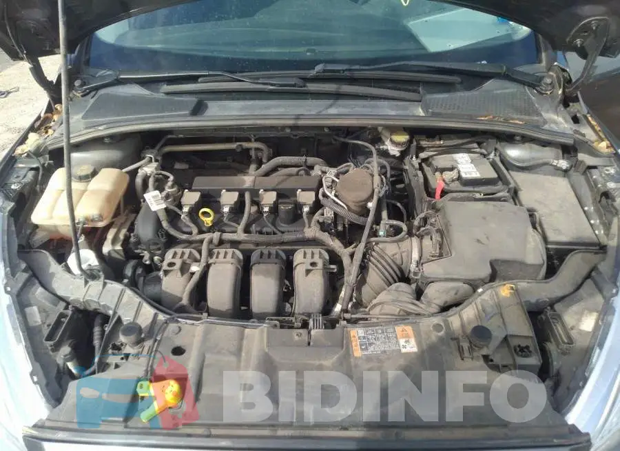 1FADP3E29GL202746 Photo# 10