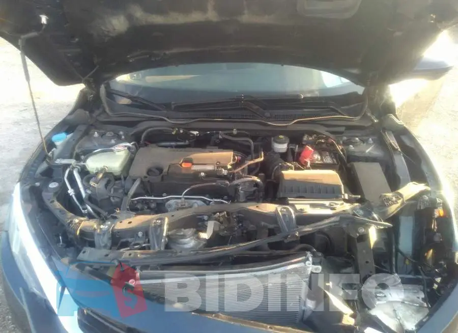 19XFC2F56GE083094 Photo# 10