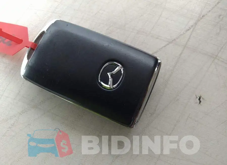 JM1BPANM2L1167867 Photo# 11