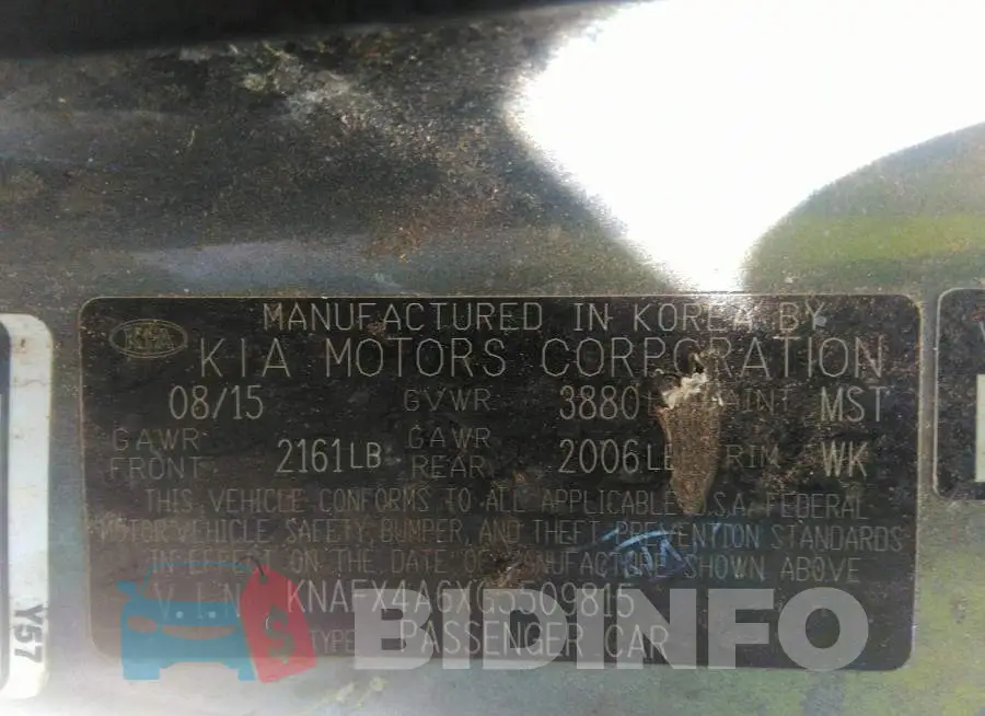 KNAFX4A6XG5509815 Photo# 9