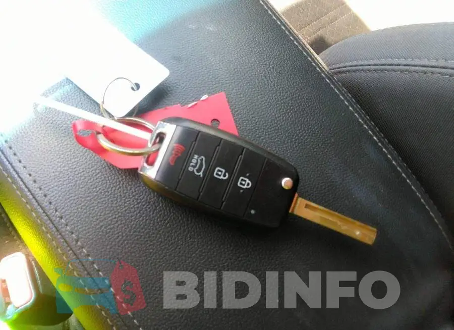 5XYPG4A31KG554736 Photo# 11