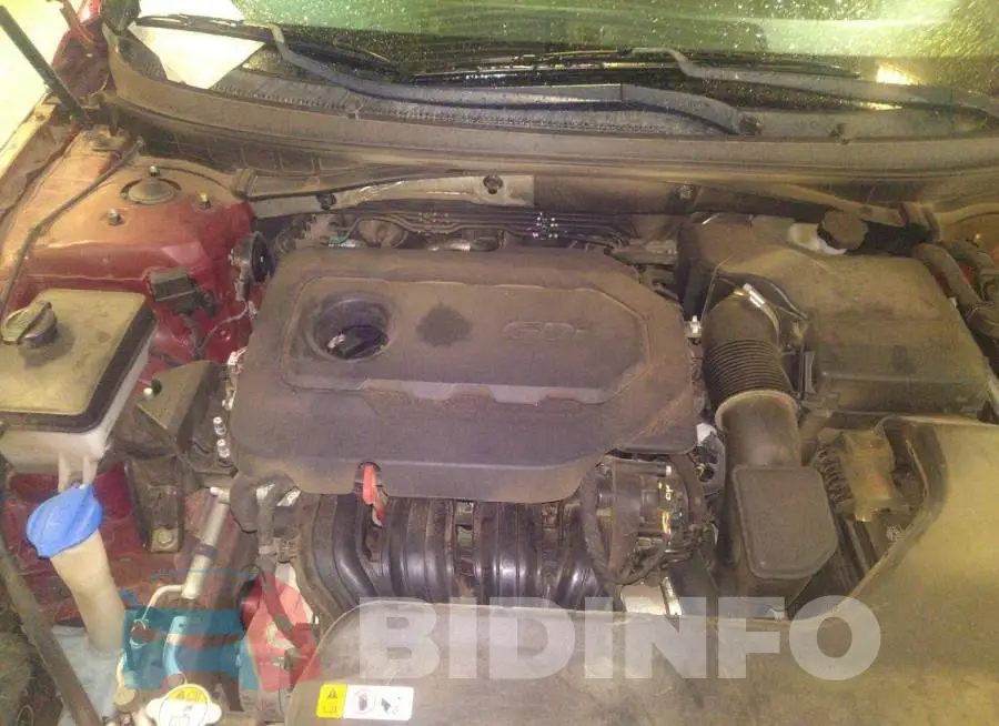 5NPE34AF8FH226161 Photo# 10