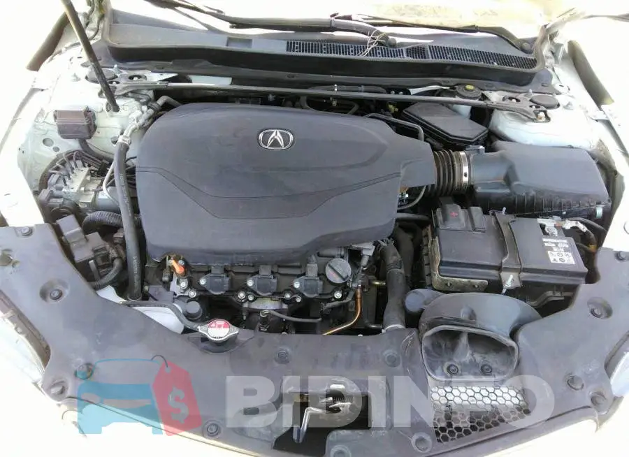 19UUB2F31GA007649 Photo# 10