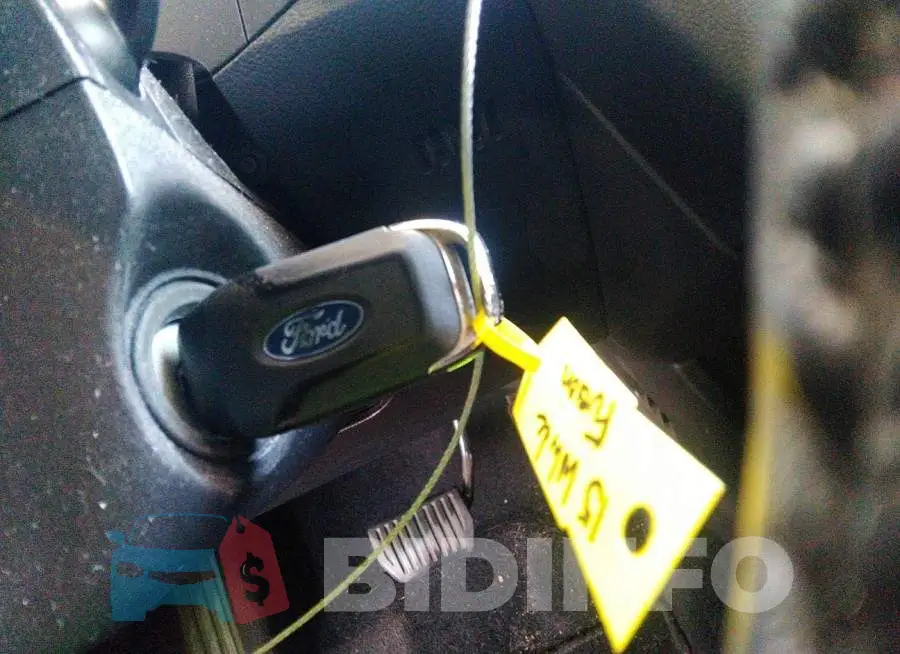 3FA6P0HD8FR226217 Photo# 11