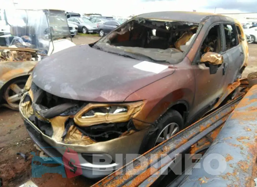 KNMAT2MT1GP633331 Photo# 2